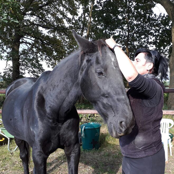 Astrid Adomat - gesundheitsorientiertes Pferdetraining